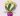 Gemini_Generated_Image_l3rz9wl3rz9wl3rz