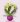 Gemini_Generated_Image_l3rz9wl3rz9wl3rz