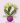 Gemini_Generated_Image_l3rz9wl3rz9wl3rz