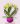 Gemini_Generated_Image_l3rz9wl3rz9wl3rz