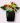 anthurium