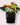 anthurium