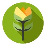 logoDEF